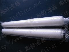 5寸聚四氟乙烯（PTFE）膜水滤芯